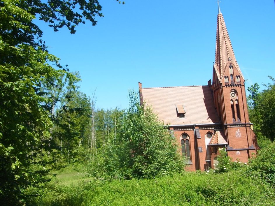 Tagestour im Sommer - Bad Doberan und Kühlungsborn und Fahrt mit der Schmalspurbahn "Molli"