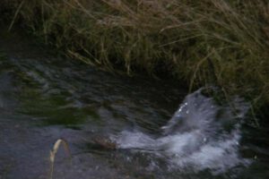 IMG-20231216-WA0037